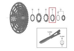 Kasettiratas Shimano CS-LG600 Built in Spacer Type