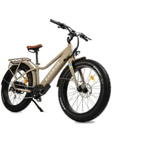 Elcykel Rawbike Urban Beige