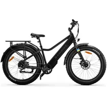 Elcykel RAWBIKE Urban Onyx