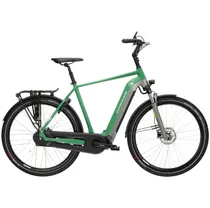 Elcykel hybrid Kross Sentio Hybrid 6.0 Green/Grey