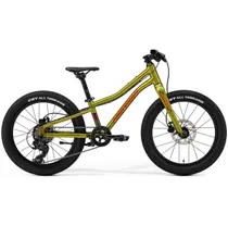 Barncykel Merida Matts J.20+ Fall Green/Red