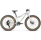 Barncykel Made Acer 24 Silver