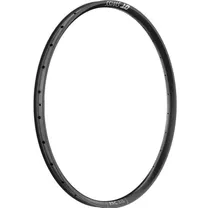 F&auml;lg DT Swiss XRC 310 Rim 29" 28H