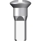 Ekernippel Sapim Nippel Round Head G13 2.34x14mm