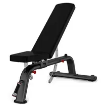 Tr&auml;ningsb&auml;nk Master Fitness Bench BC 2.0
