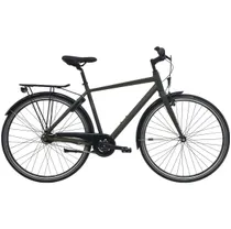 Cityhybrid Nishiki Touring Herr green