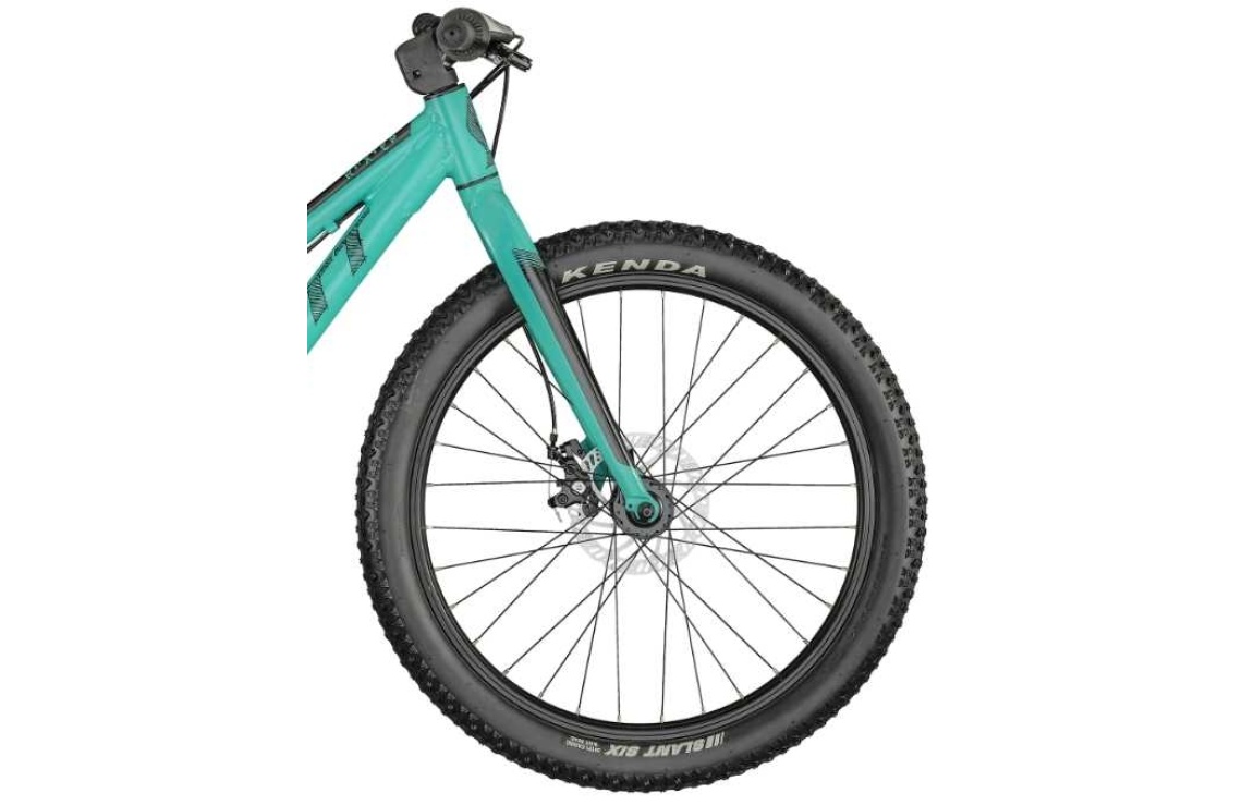 Scott roxter 24 teal blue online