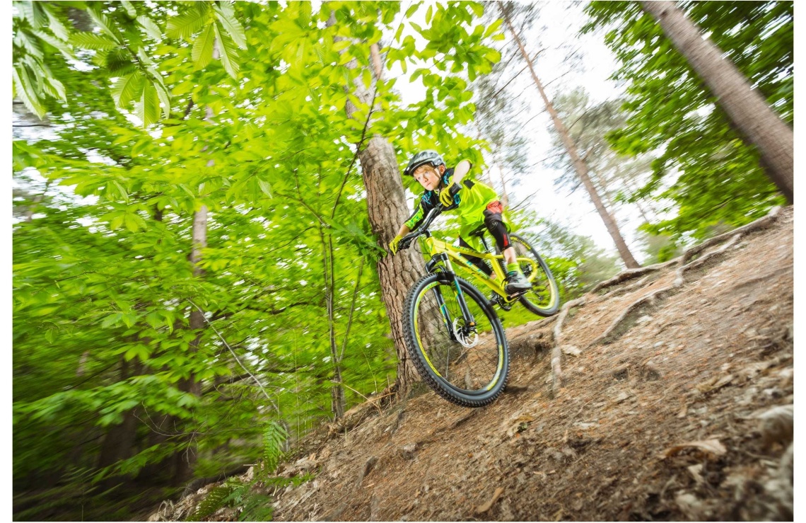Whyte 403 matt lime gron Trail Mountainbikes MTB Cyklar