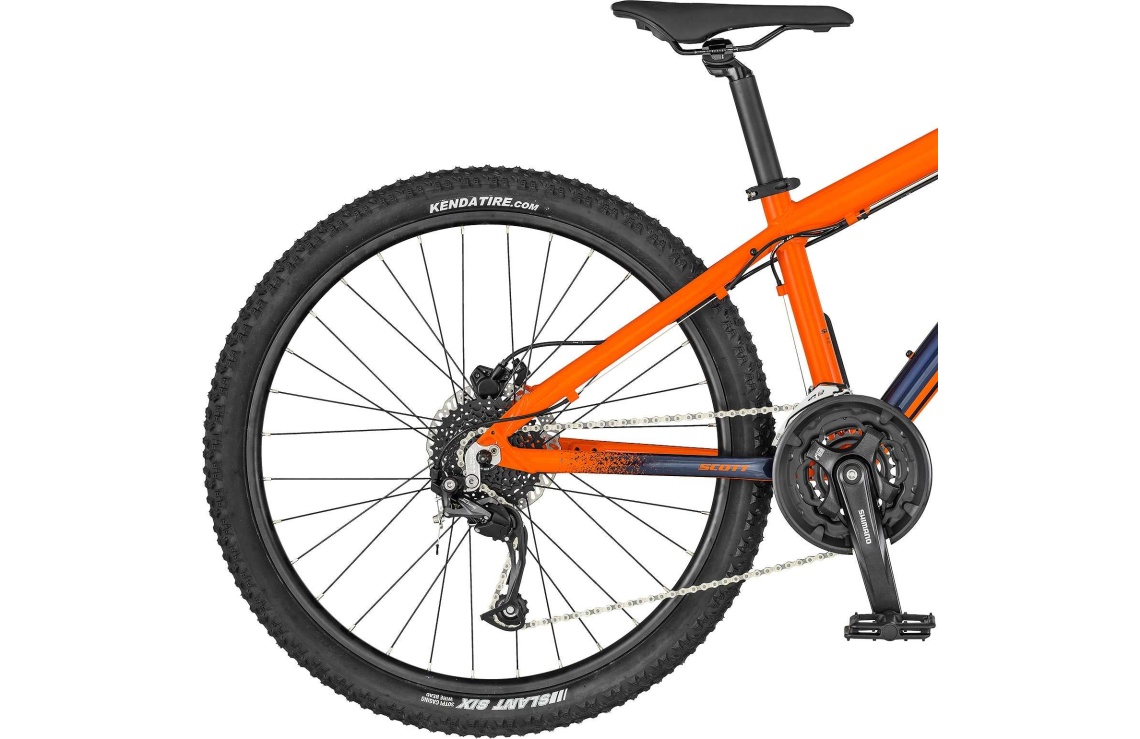 Scott roxter 600 new arrivals