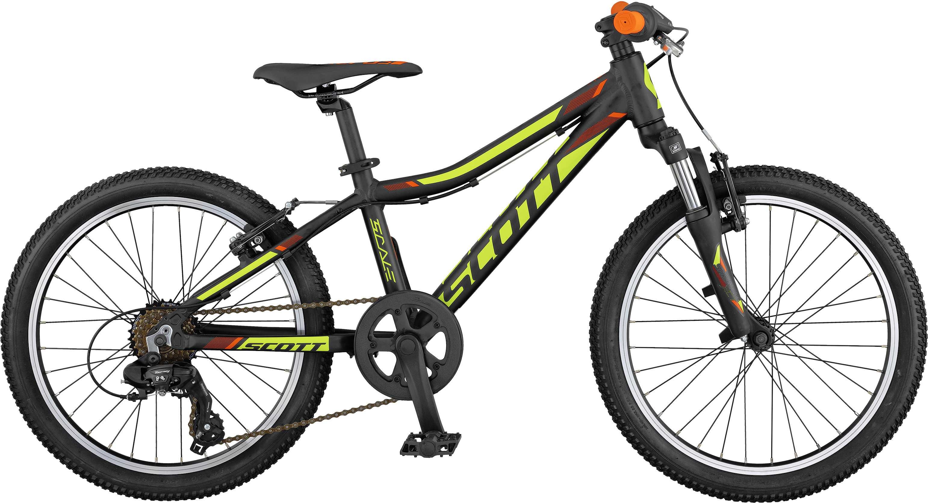 Scott scale jr 20 2017 2025