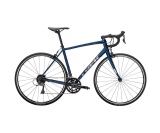 Racer Trek Domane AL 2 blå