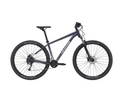 MTB Cannondale Trail 6 29" grå