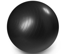 Gymboll Master Fitness