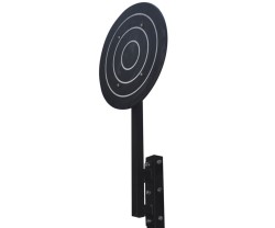 Crossfit Rig Master Fitness Wall Ball Target 