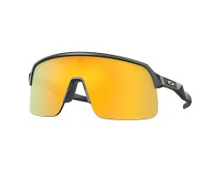 Cykelglasögon Oakley Sutro Lite Grå/Prizm 24K