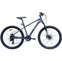 Lasten polkupyörä Biorn RAM T-26 Flat Dark Grey