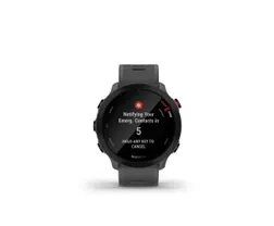 Träningsklocka Garmin Forerunner 55 Grå