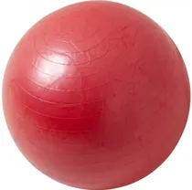 Yoga Tillbehör Gorilla Sports Fitnessboll 65 black