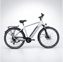 Elcykel Made Flow Herr Grey