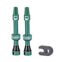 Tubeless-Venttiili Rengasinsetti Cushcore 55mm 2-pack