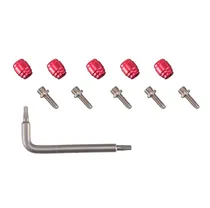 Oliv + &auml;ndstift till bromsslang SRAM Stealthamajig 5-pack + 1 st T8 torxnyckel