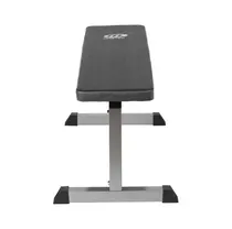 Treenipenkki Master Fitness Flat Bench Silver