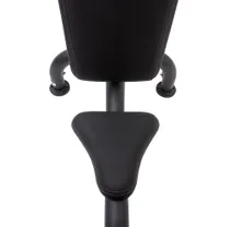 Träningsbänk Master Fitness Royal Utility Bench