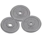 Viktskiva Järn Master Fitness Skolvikt 25 Mm 05 KG