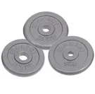 Viktskiva Järn Master Fitness Skolvikt 25 Mm 10 KG