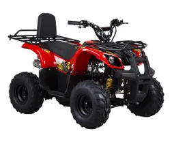 Fyrhjuling X-Pro Worker ATV 110cc Röd med back nocolor