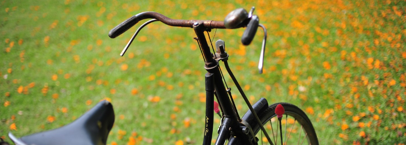 4 alternativ för dig som är ute efter ett högt cykelstyre