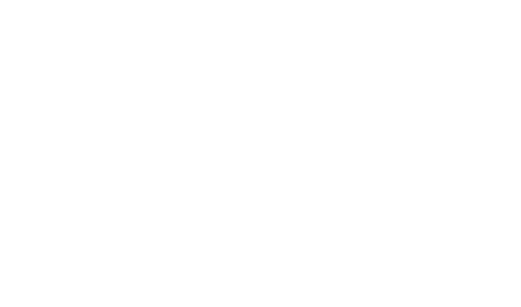 Void logotyp